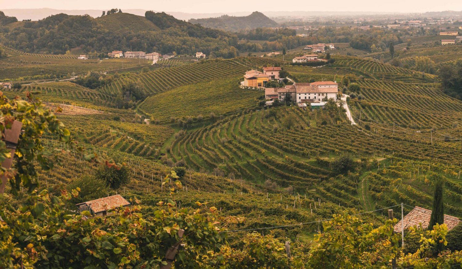 Bellussi winery in Valdobbiadene