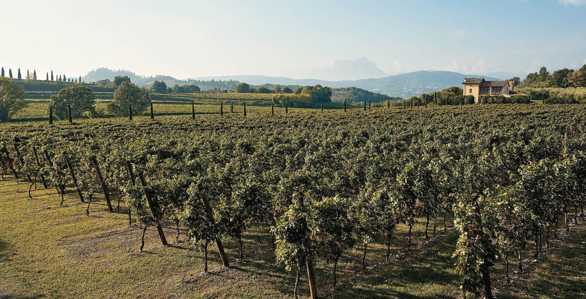 Ca' de'Rocchi, Winery in Lazise