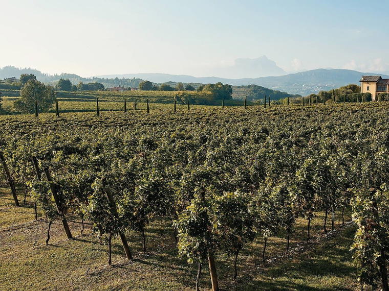 Ca' de'Rocchi, Lazise, Italy