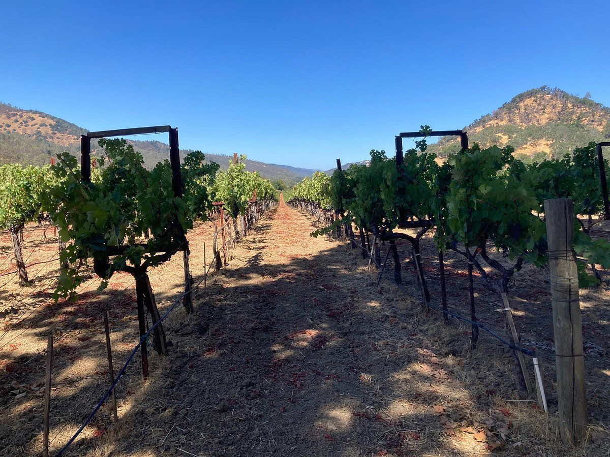 Volker Eisele Family Estate, Winery in St. Helena