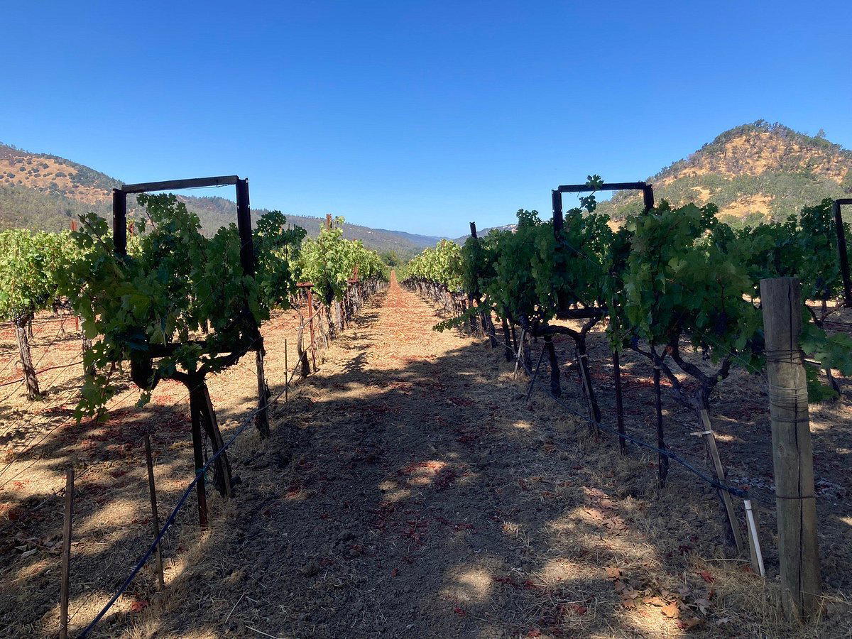 Volker Eisele Family Estate winery in St. Helena, United States