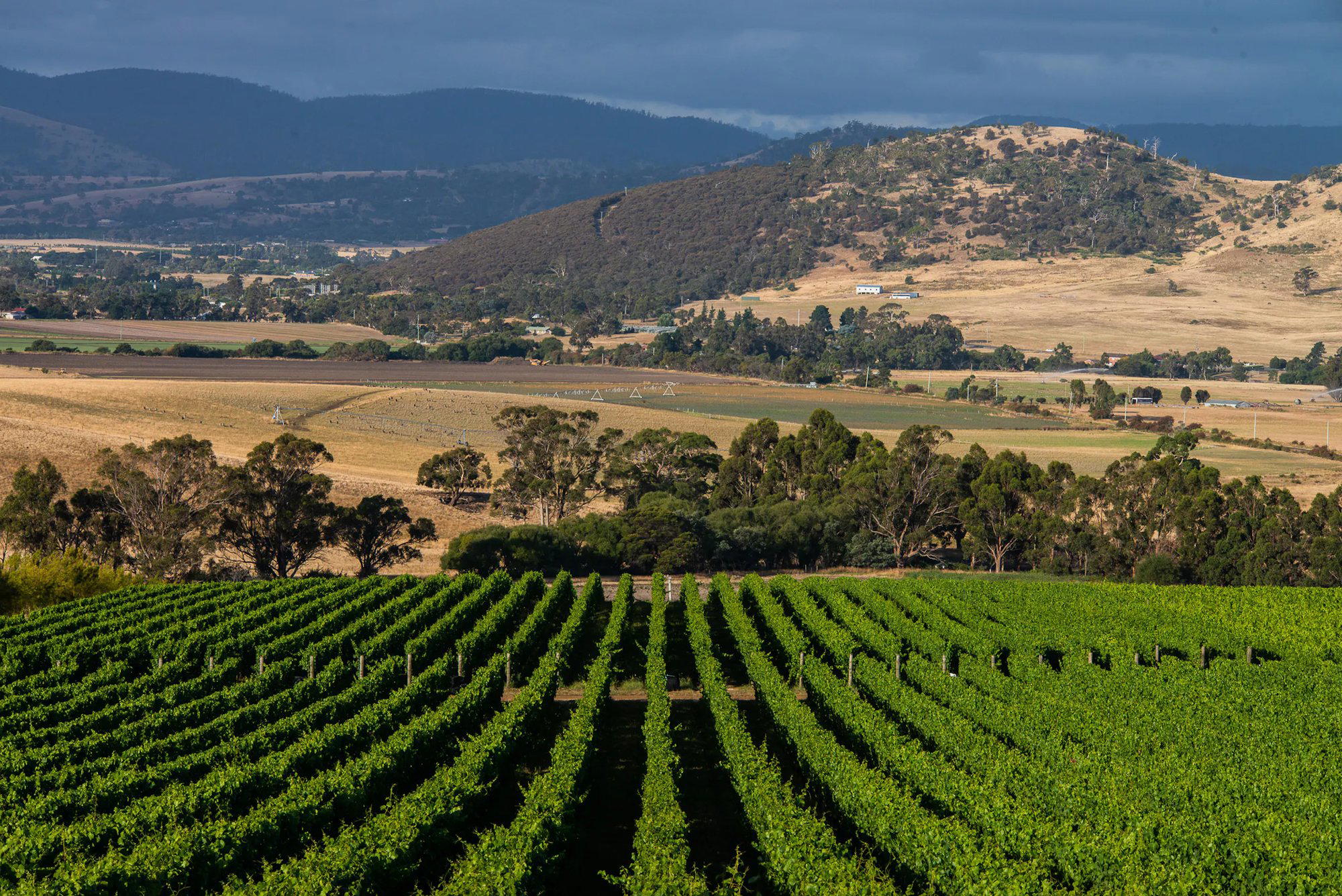 Tolpuddle Vineyard winery in Coal River Valley