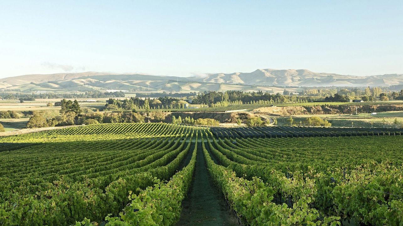 Bellbird Spring Wines winery in Amberley
