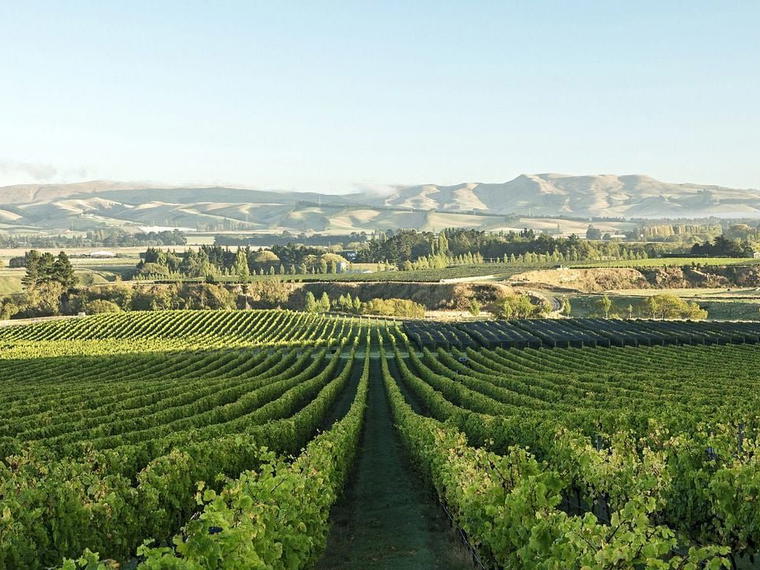 Bellbird Spring Wines, Amberley, New Zealand