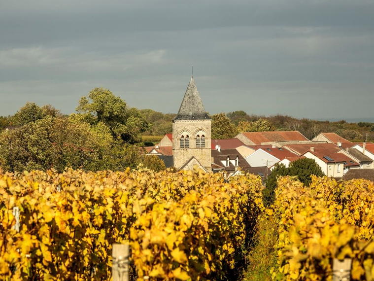 Champagne Jacques Picard, Berru, France