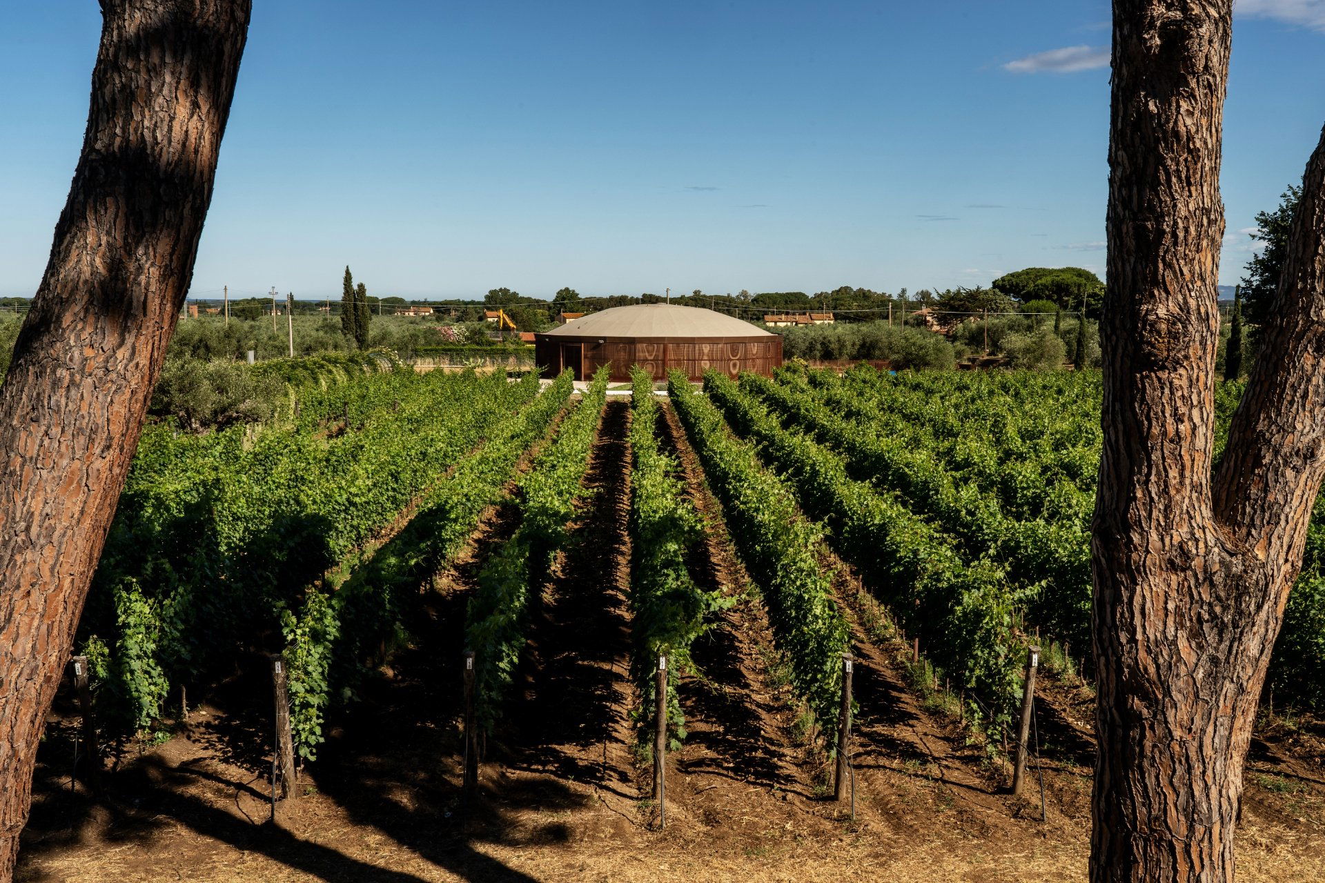 Campo alle Comete, Winery in Castagneto Carducci