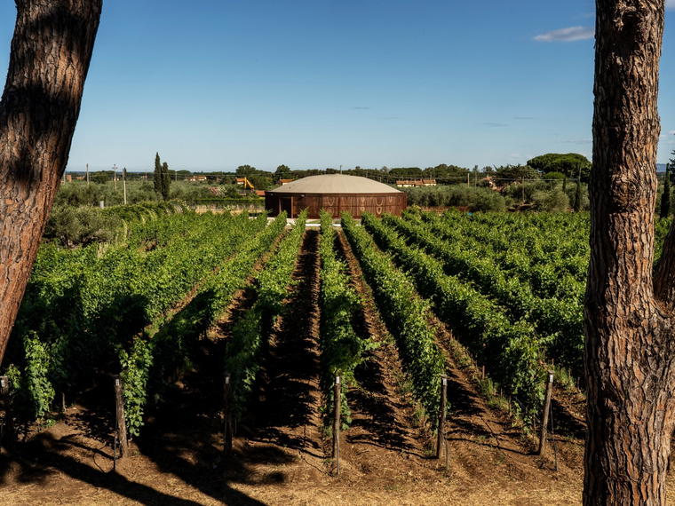 Campo alle Comete, Castagneto Carducci, Italy