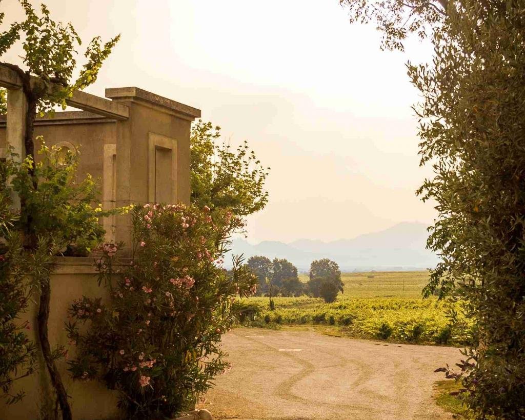 Domaine Saint Siffrein, Winery in Orange