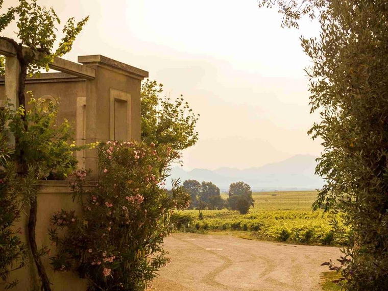 Domaine Saint Siffrein, Orange, France
