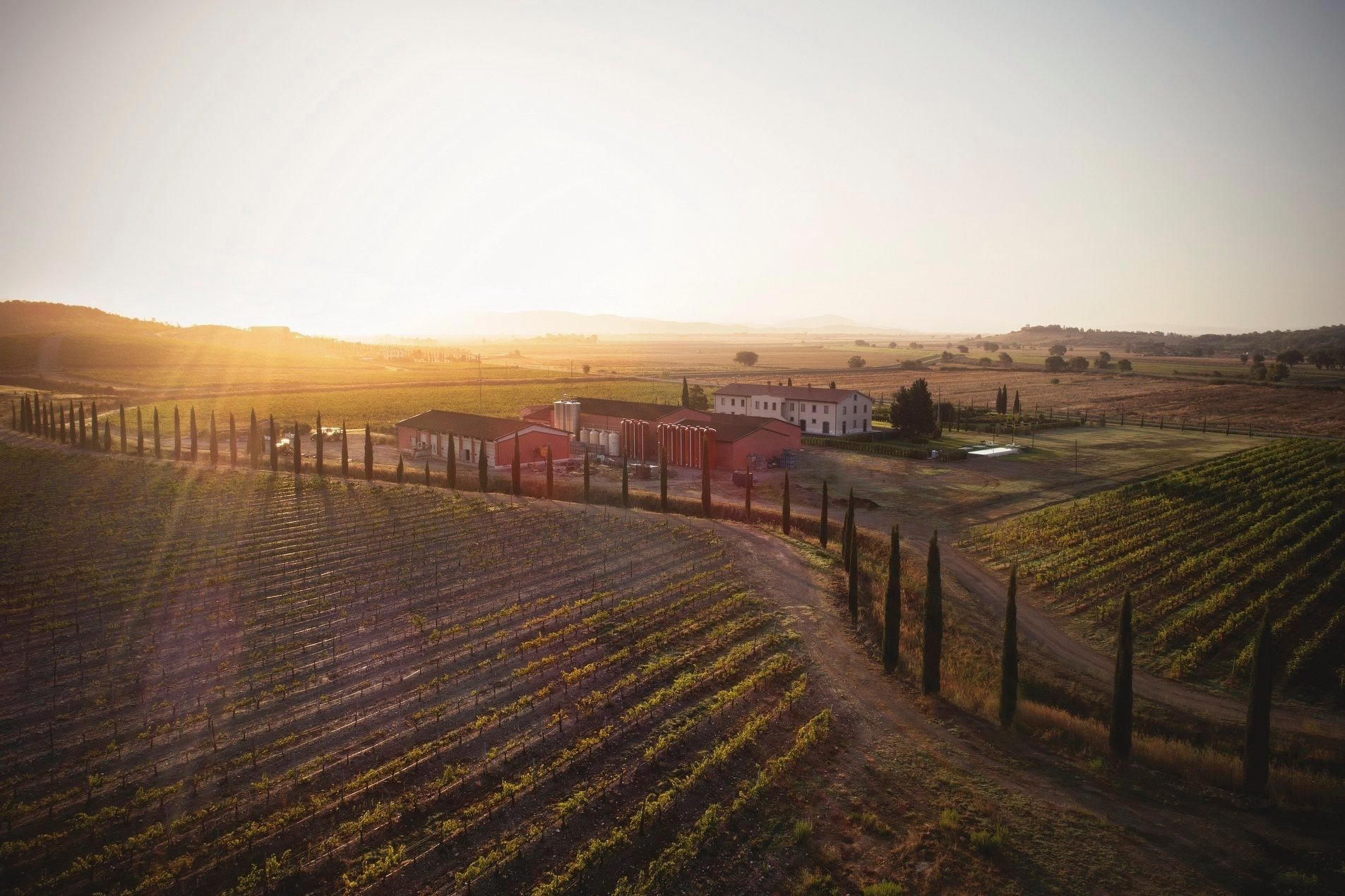 Tenuta Fertuna winery in Gavorrano