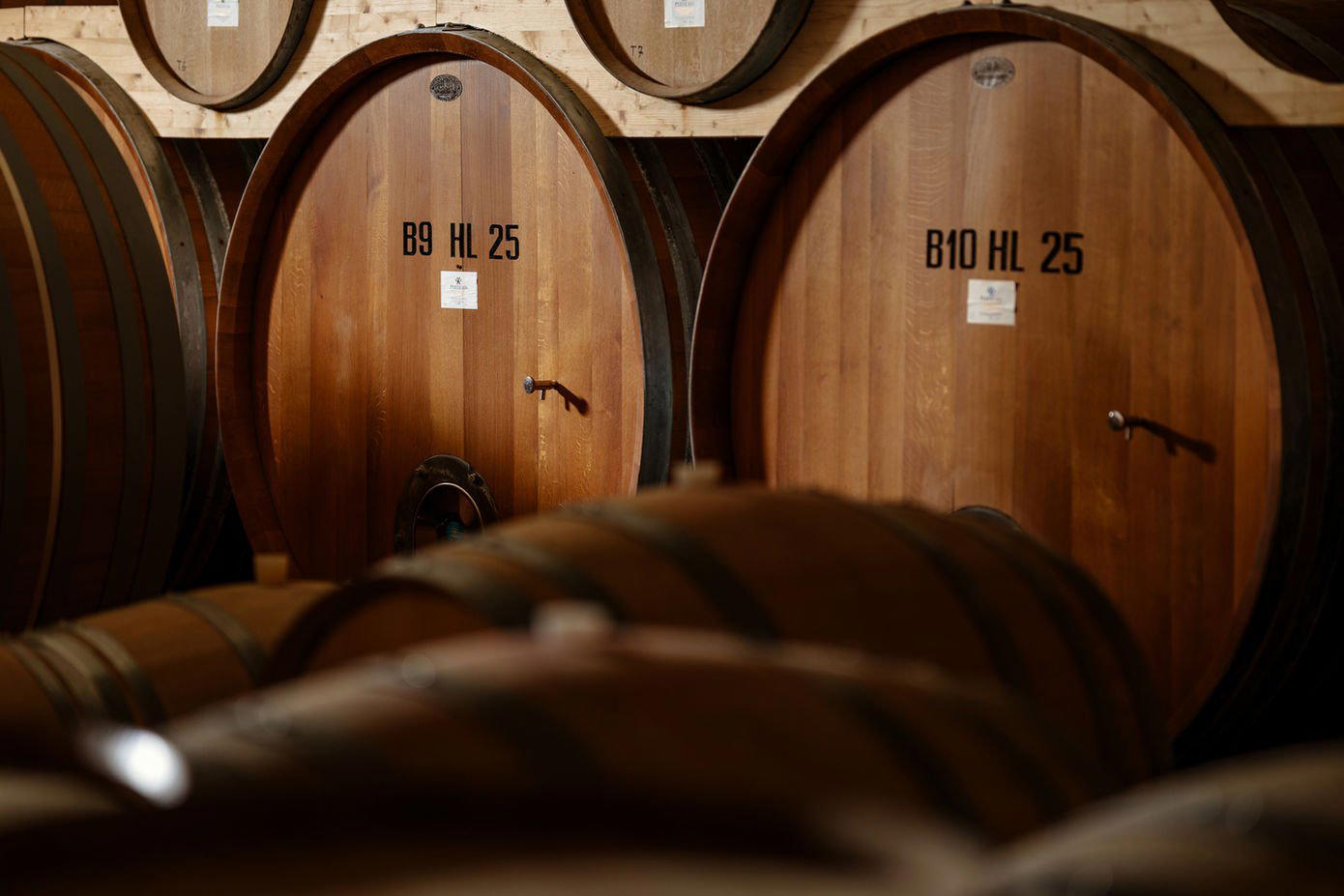 Perticaia winery in Montefalco