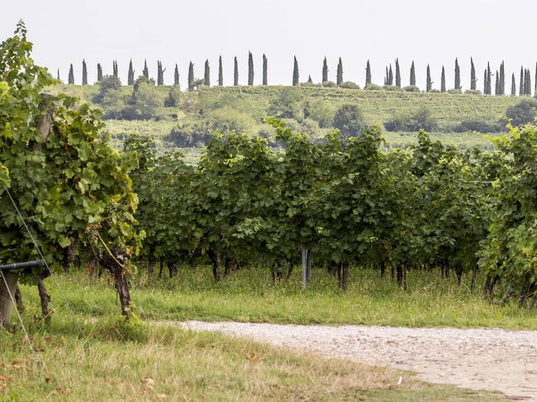 Bigagnoli, Pastrengo, Italy