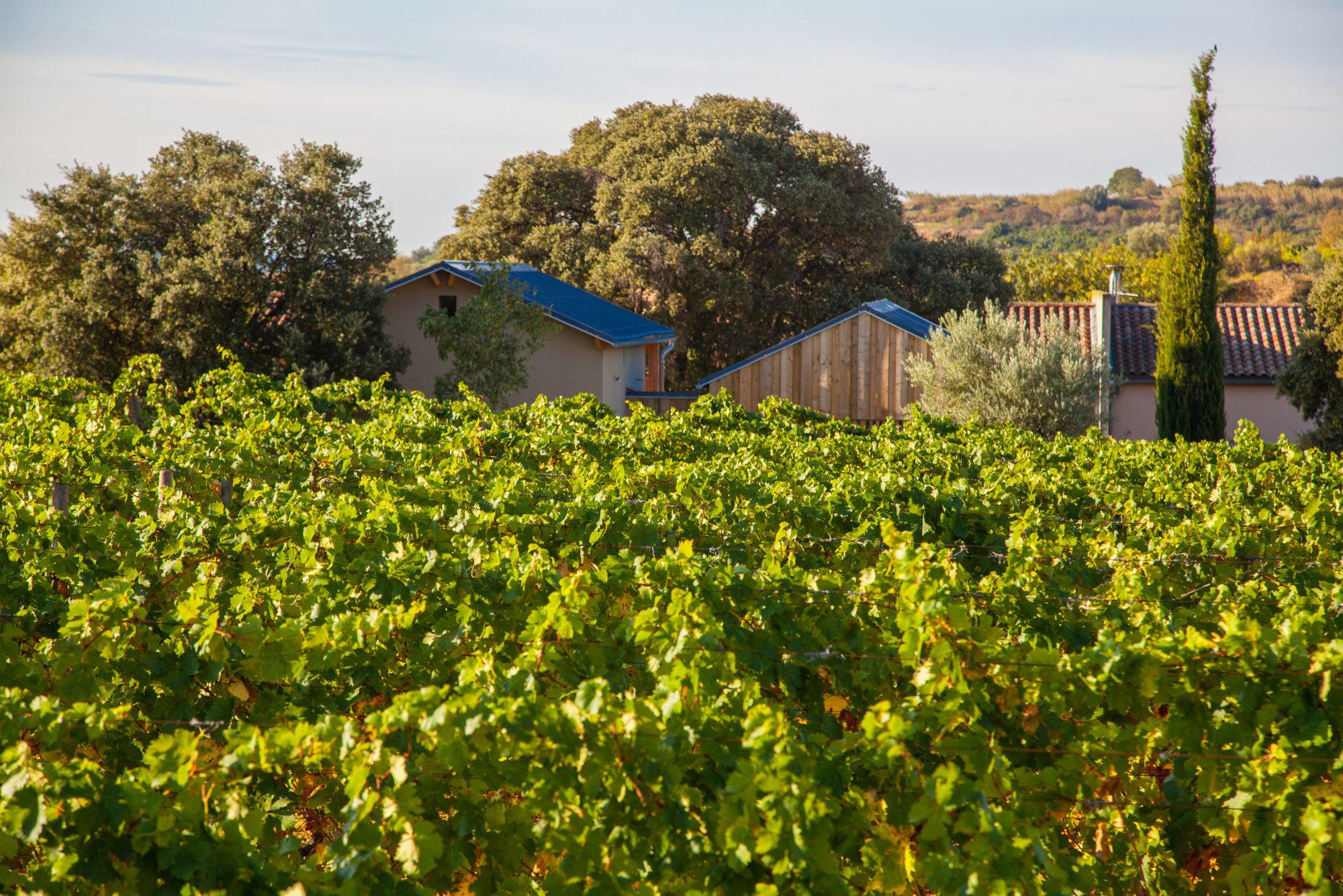 Domaine Alain Chabanon, Lagamas, France