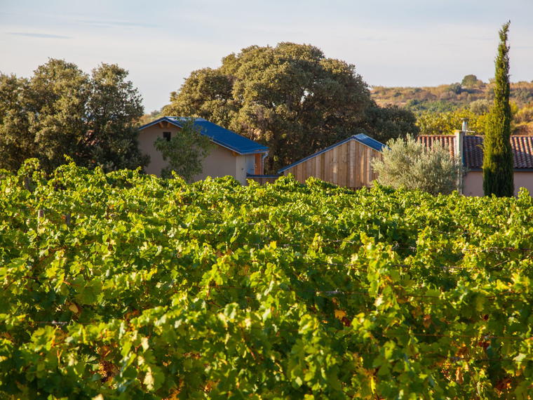 Domaine Alain Chabanon, Lagamas, France