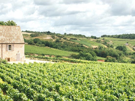 Alain Gras, Saint-Romain, France