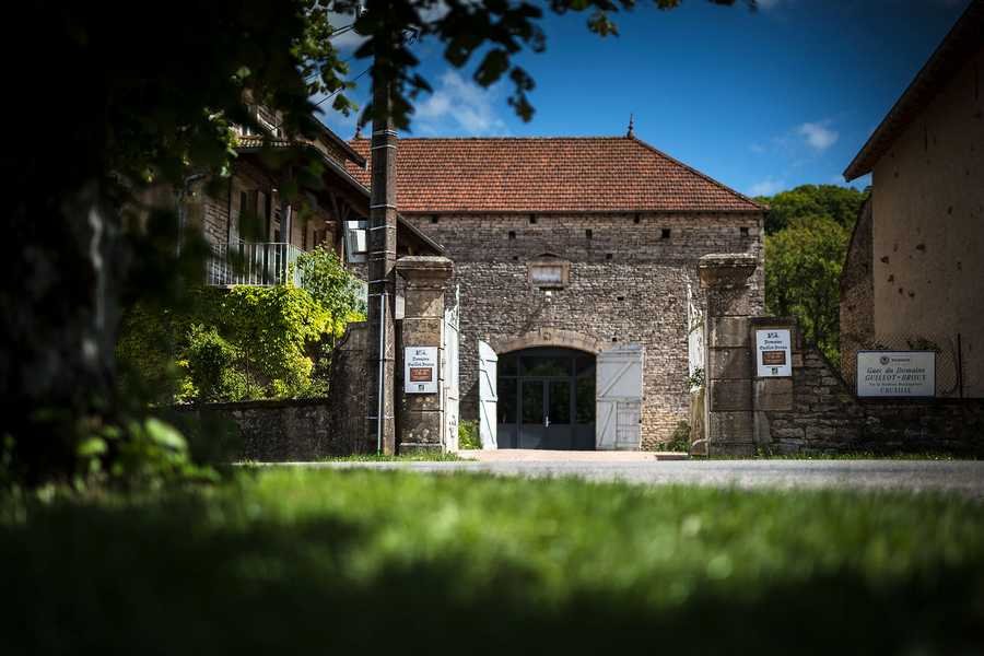 Domaine Guillot-Broux, Cruzille, France