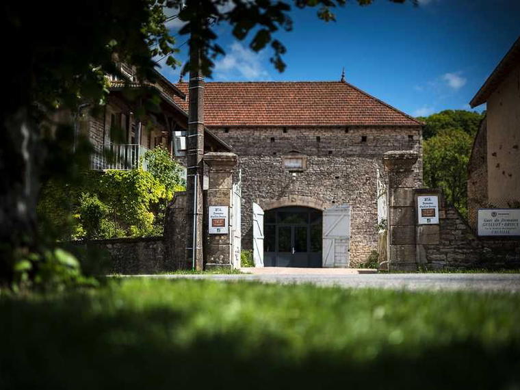 Domaine Guillot-Broux, Cruzille, France