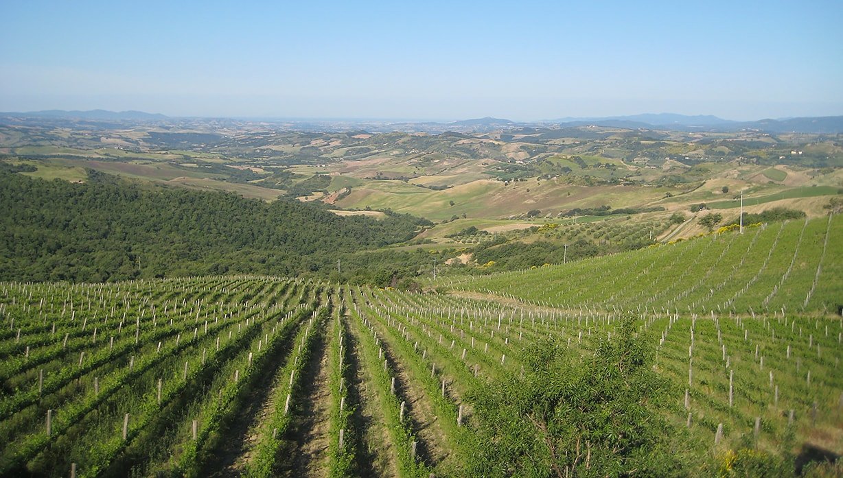 Campi Nuovi