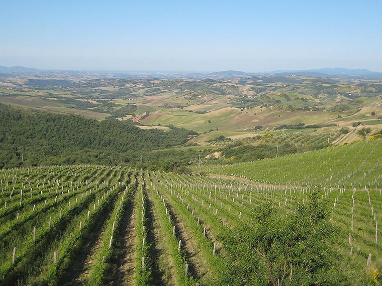 Campi Nuovi, Cinigiano, Italy