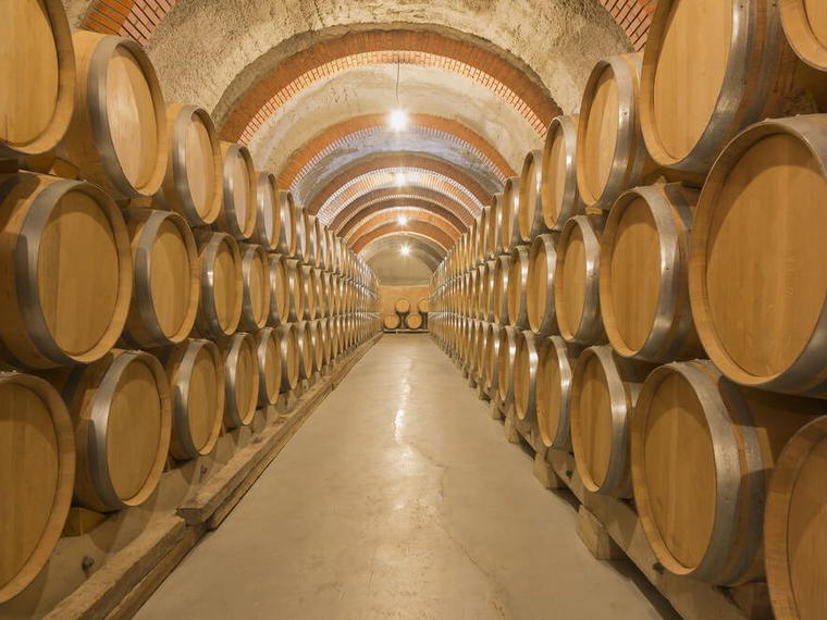 Bodegas y Viñedos Alnardo – Peter Sissek, Quintanilla de Onésimo, Spain
