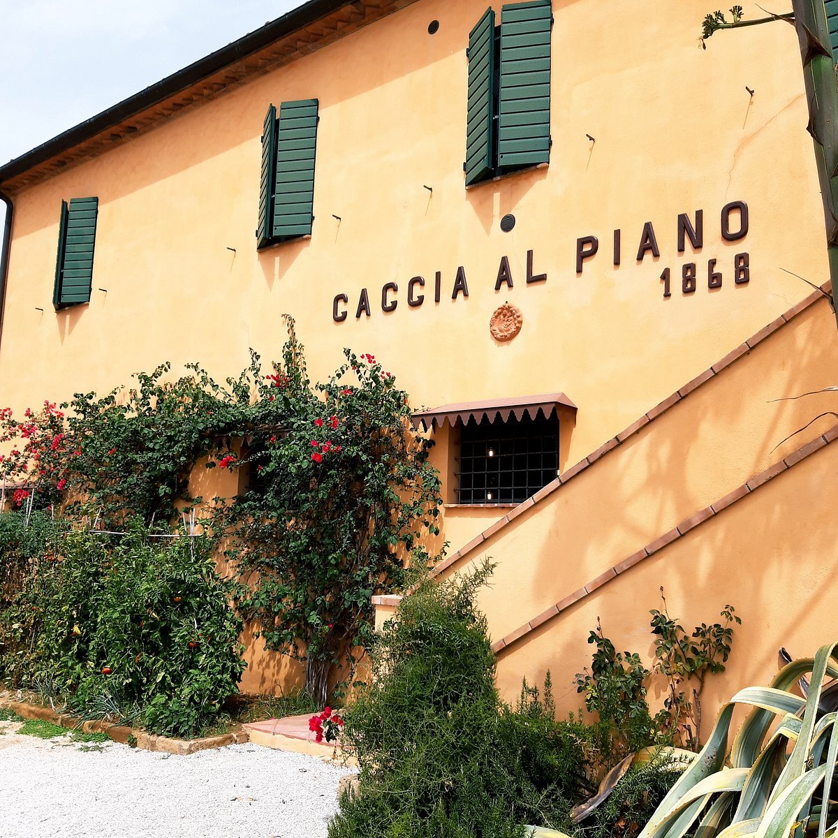 Caccia Al Piano, Castagneto Carducci, Italy