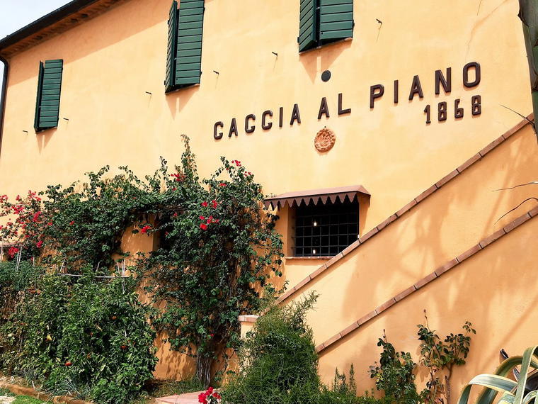 Caccia Al Piano, Castagneto Carducci, Italy