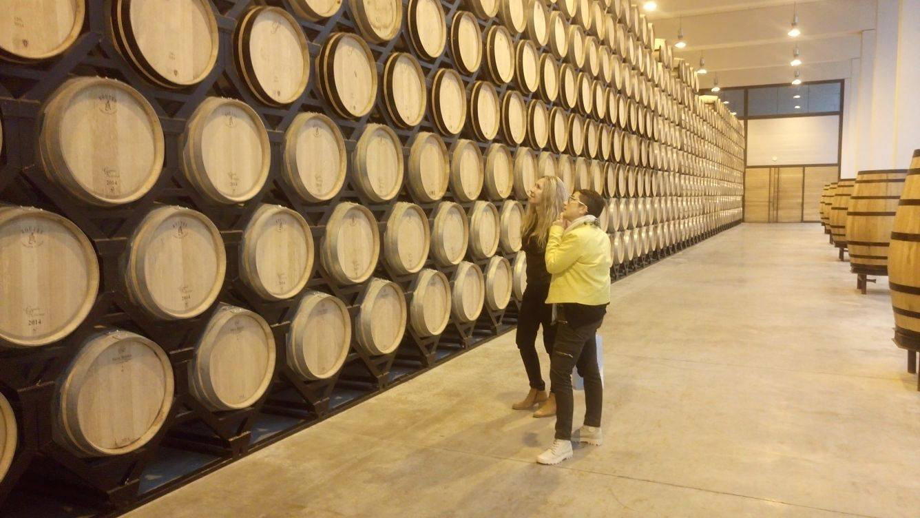 Finca Antigua winery in Hinojosos