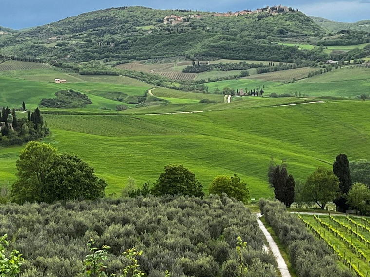 Canneto, Montepulciano, Italy