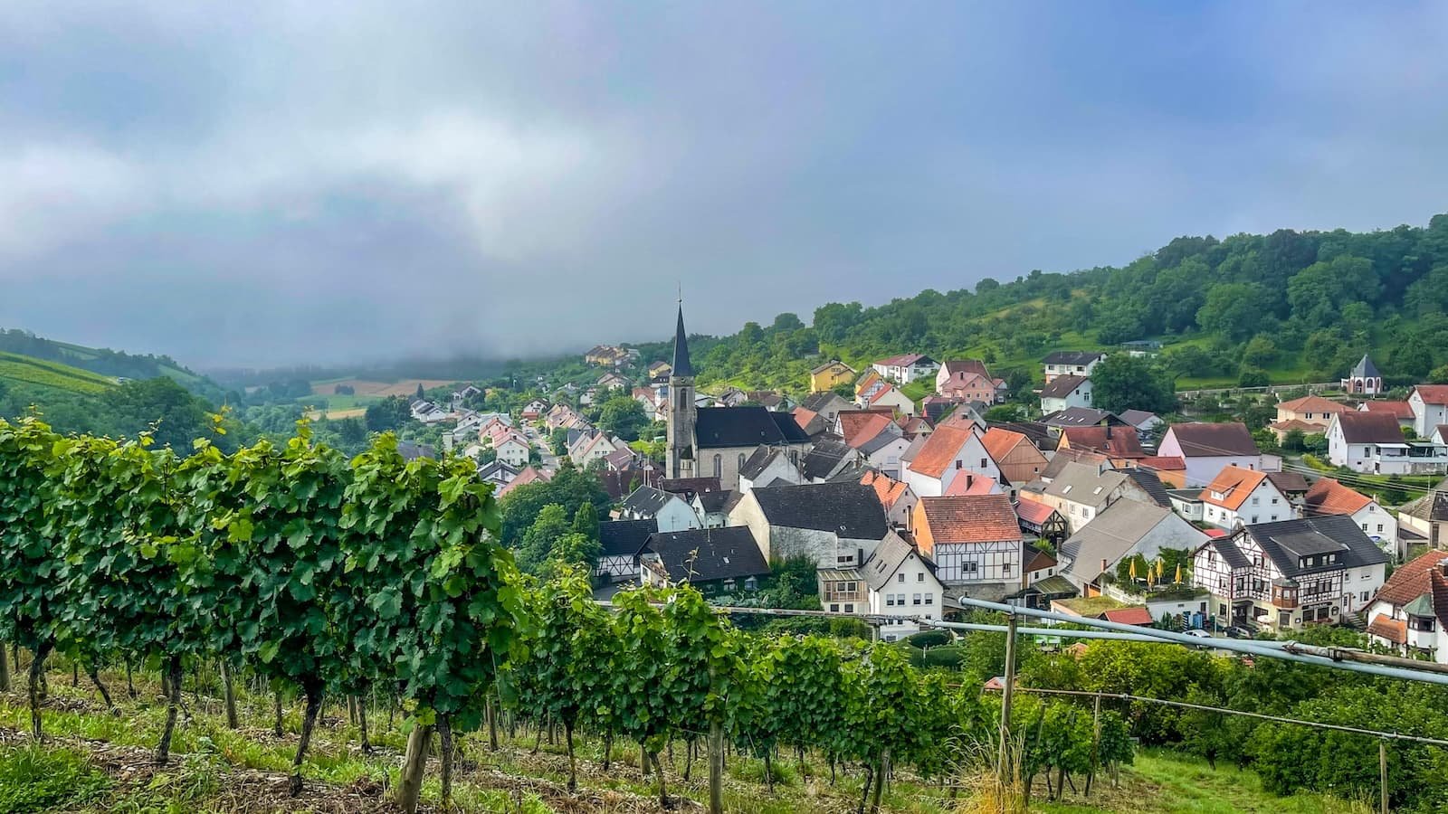 Becksteiner Winzer, Winery in Beckstein