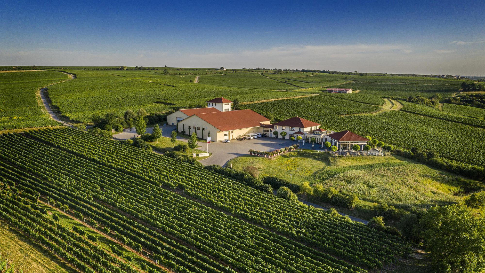 Weingut Raddeck winery in Nierstein