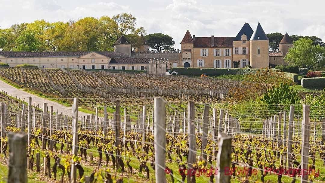 Bollinger Groupe, Paris, France