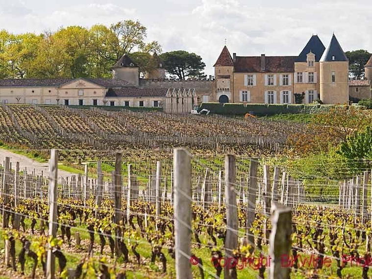 Bollinger Groupe, Paris, France