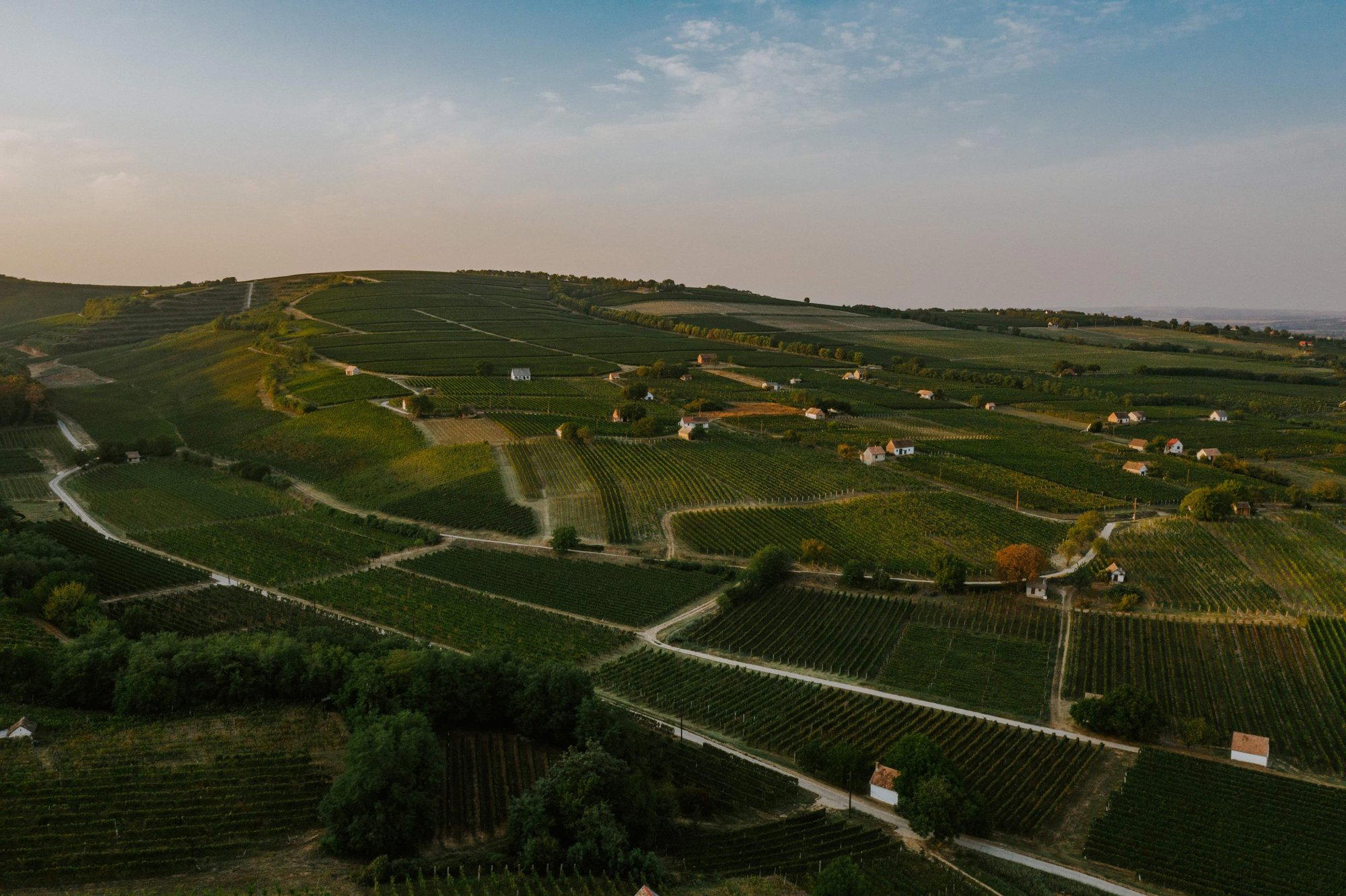 Anonym Pince winery in Etyek