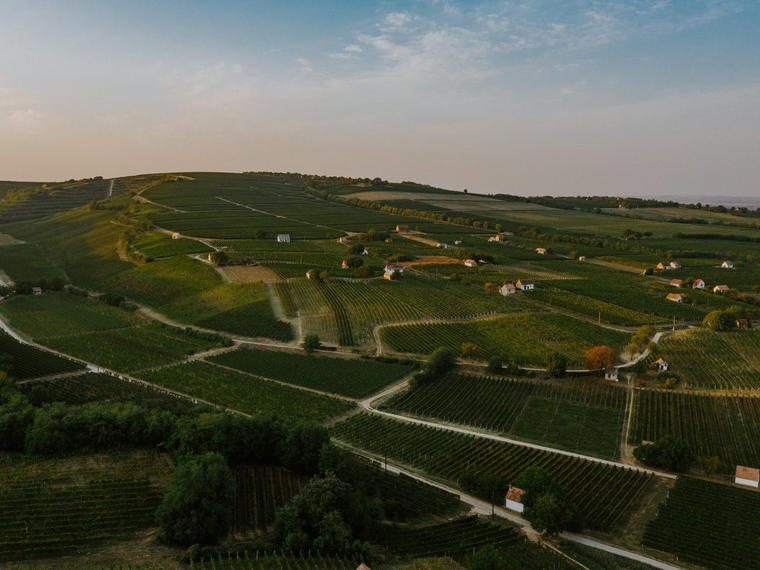 Anonym Pince, Etyek, Hungary