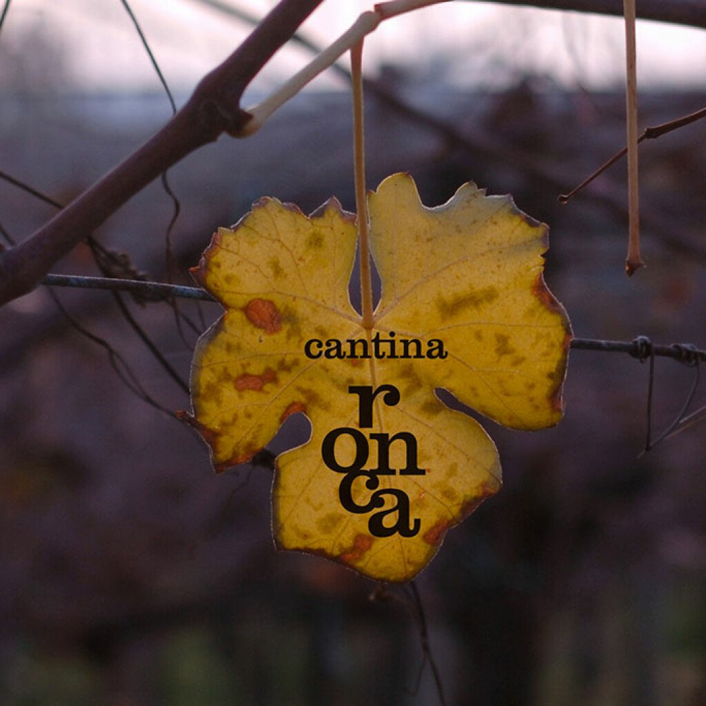 Cantina Ronca, Winery in Sommacampagna