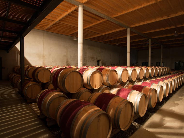 Château Dutruch Grand Poujeaux, Moulis En Medoc, France