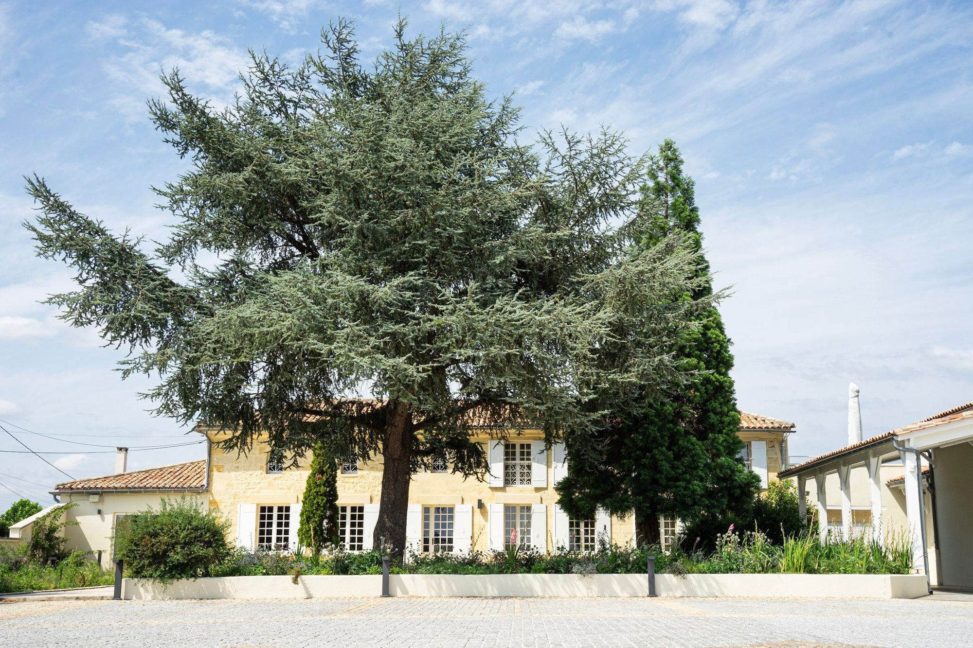 Château Haut-Brisson, Winery in Vignonet