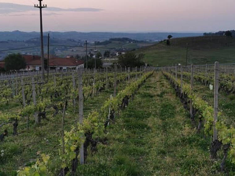 Cascina Garitina, Castel Boglione, Italy