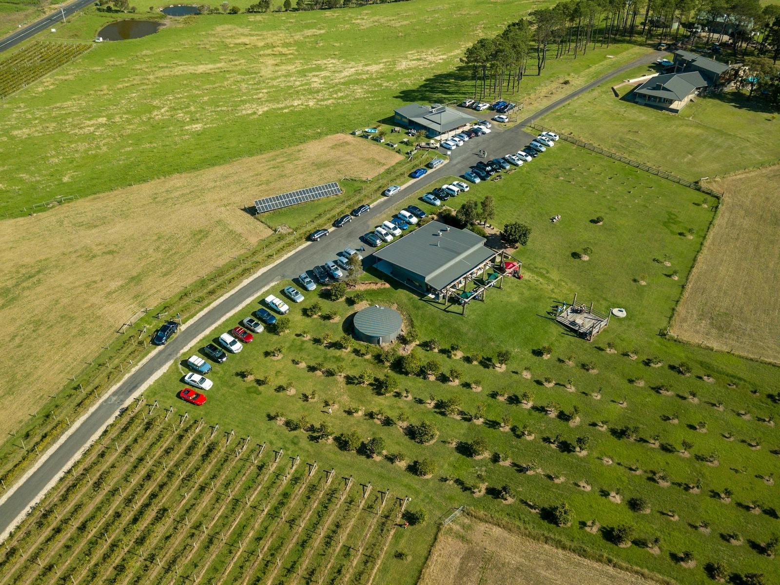 Mountain Ridge Winery, Winery in Shoalhaven Heads