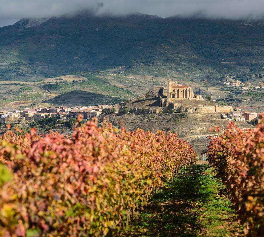 Bodegas Age, Winery in Fuenmayor