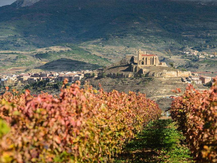 Bodegas Age, Fuenmayor, Spain