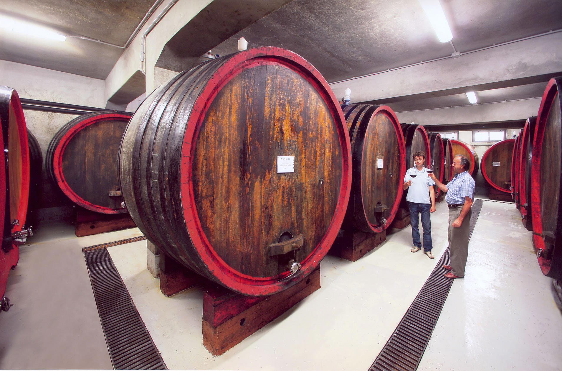 Casetta winery in Vezza D Alba