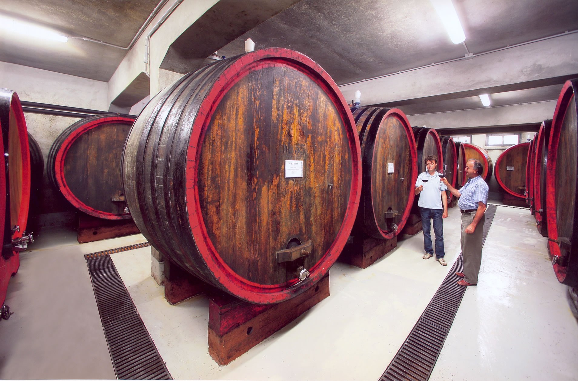 Casetta, Winery in Vezza D Alba