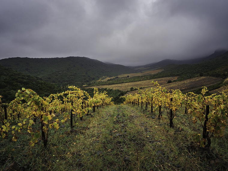 Domaine des Schistes, Estagel, France