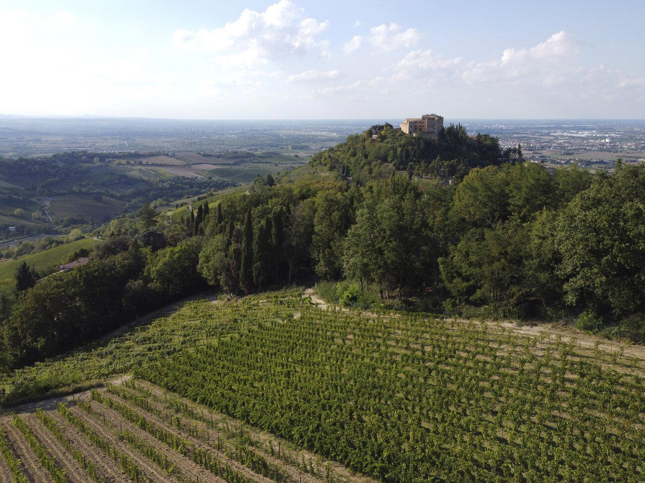 Giovanna Madonia winery in Bertinoro