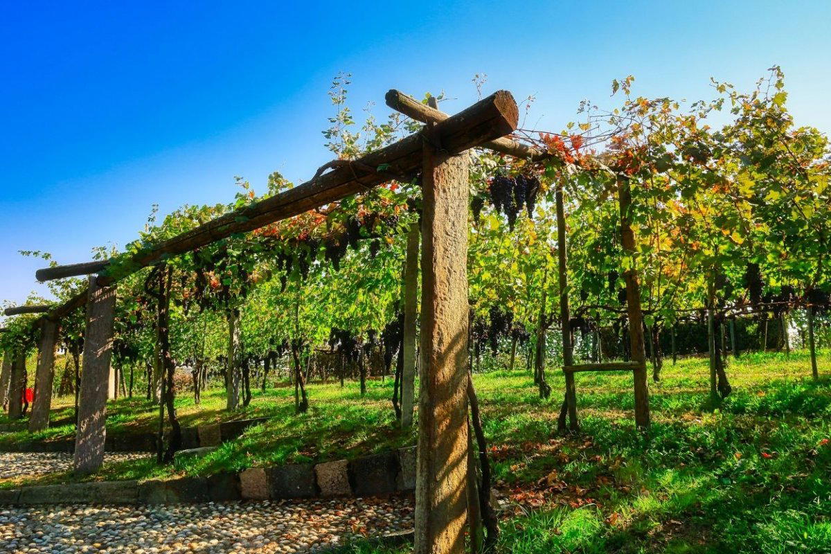 Podere ai Valloni winery in Boca