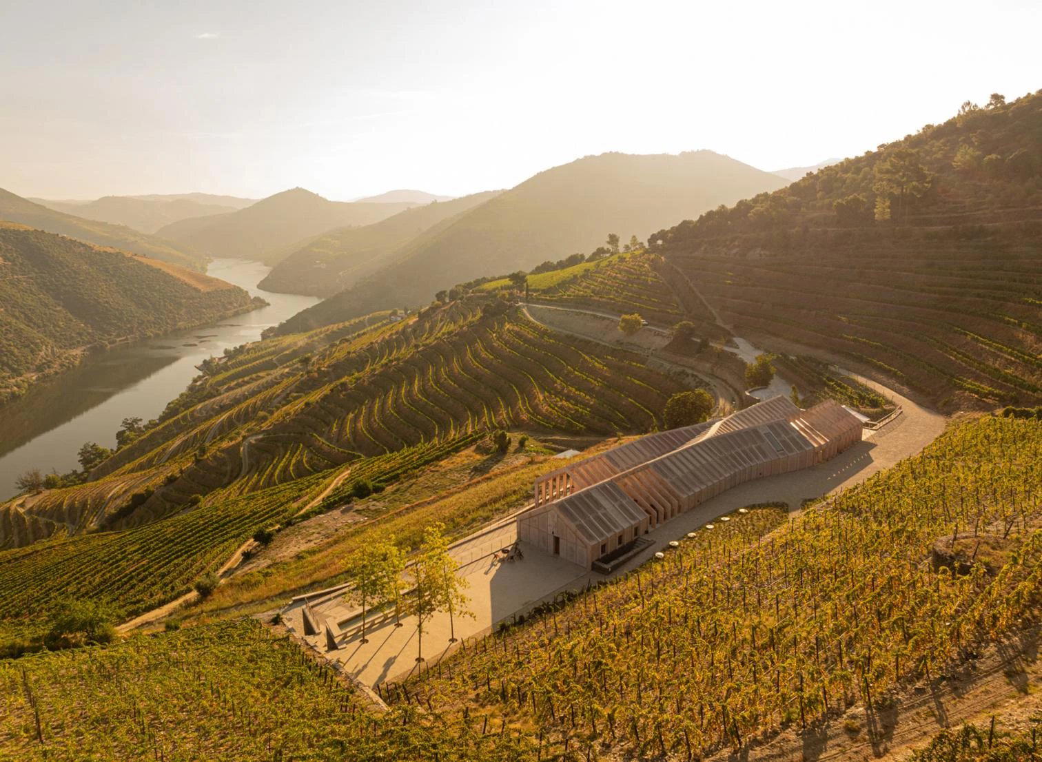 Quinta de Adorigo winery in Tabuaço, Portugal