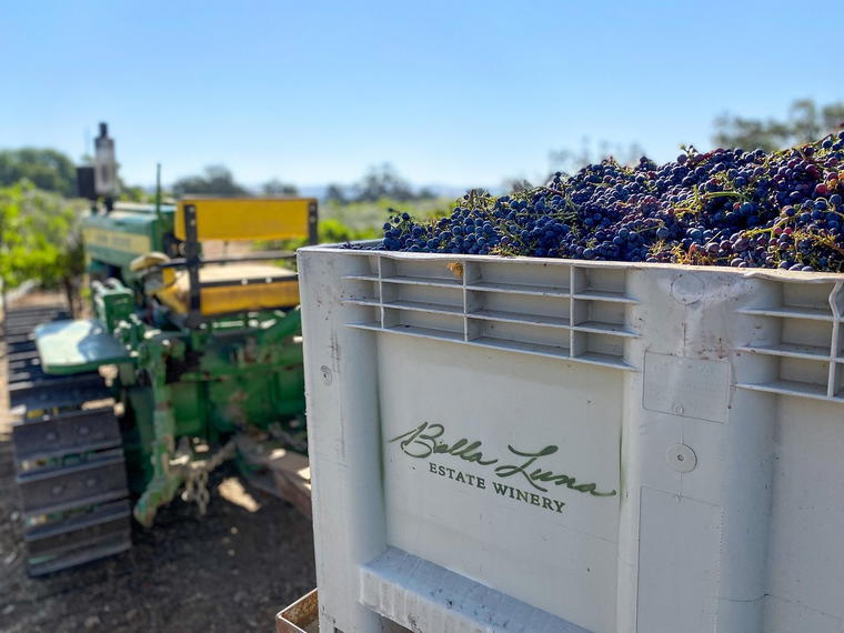 Bella Luna Estate Winery, Templeton, United States