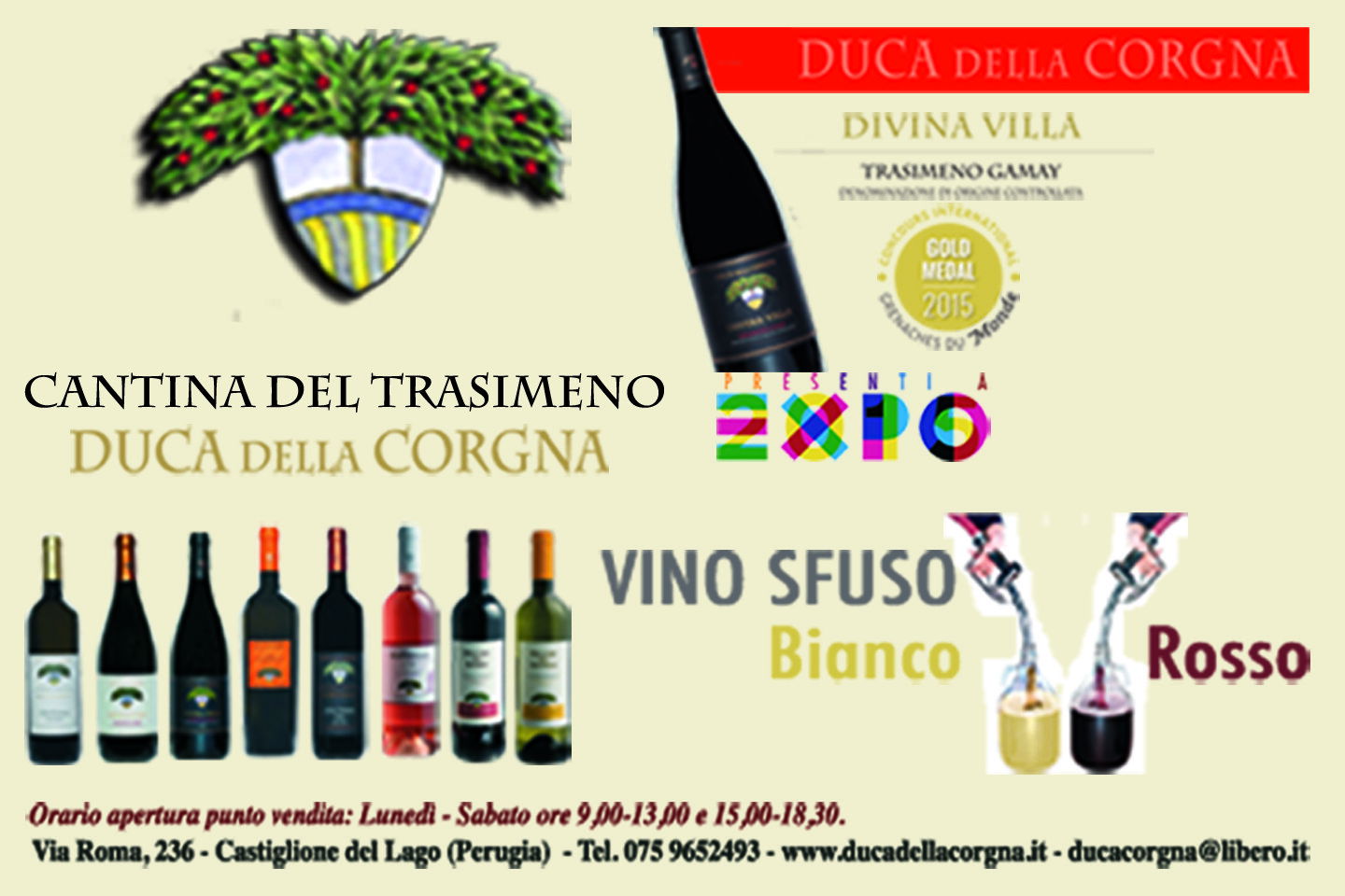 Cantina del Trasimeno - Duca della Corgna, Winery in Castiglione del Lago