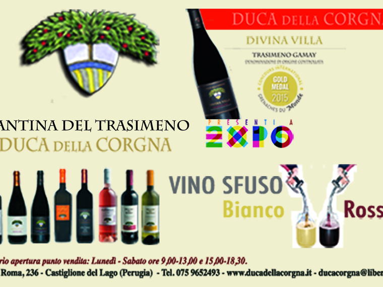 Cantina del Trasimeno - Duca della Corgna, Castiglione del Lago, Italy